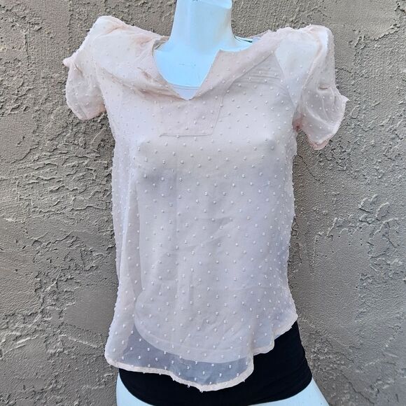 Daniel Rainn Light Pink Sheer Clip Dot Short Sleeve Blouse Size S - Picture 7 of 7